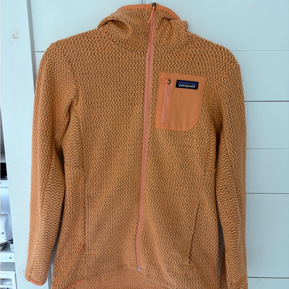Patagonia R1 Air Fleece | NWT